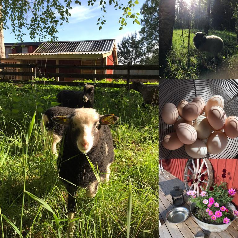 Lillemyrsgarden Guest House Forshaga ภายนอก รูปภาพ